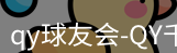 qy球友会